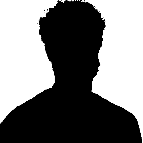 A headshot silhouette of the mystery player you're trying to guess.